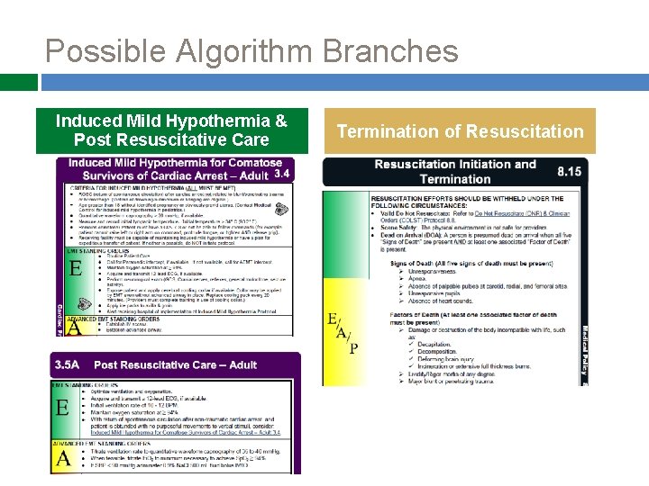Possible Algorithm Branches Induced Mild Hypothermia & Post Resuscitative Care Termination of Resuscitation 