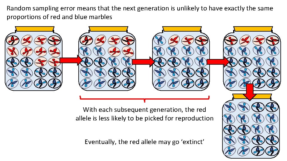 Random sampling error means that the next generation is unlikely to have exactly the