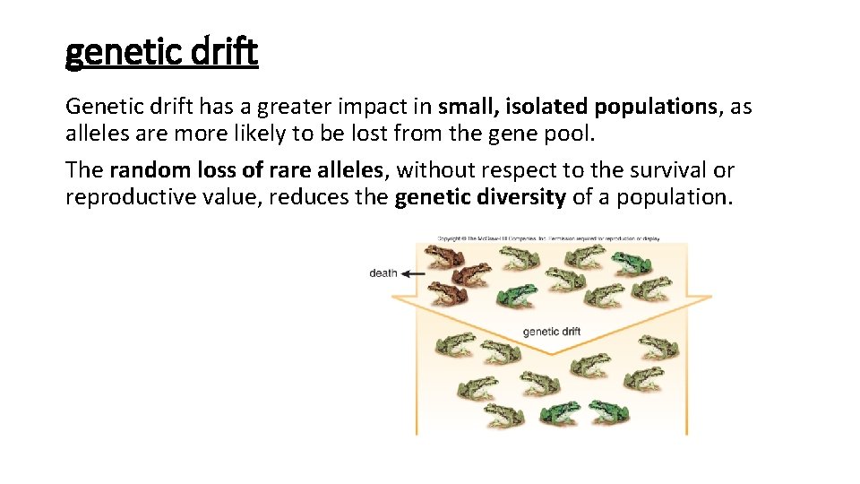 genetic drift Genetic drift has a greater impact in small, isolated populations, as alleles