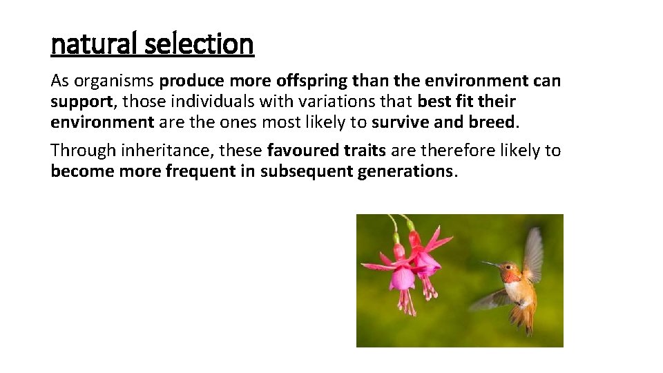 natural selection As organisms produce more offspring than the environment can support, those individuals