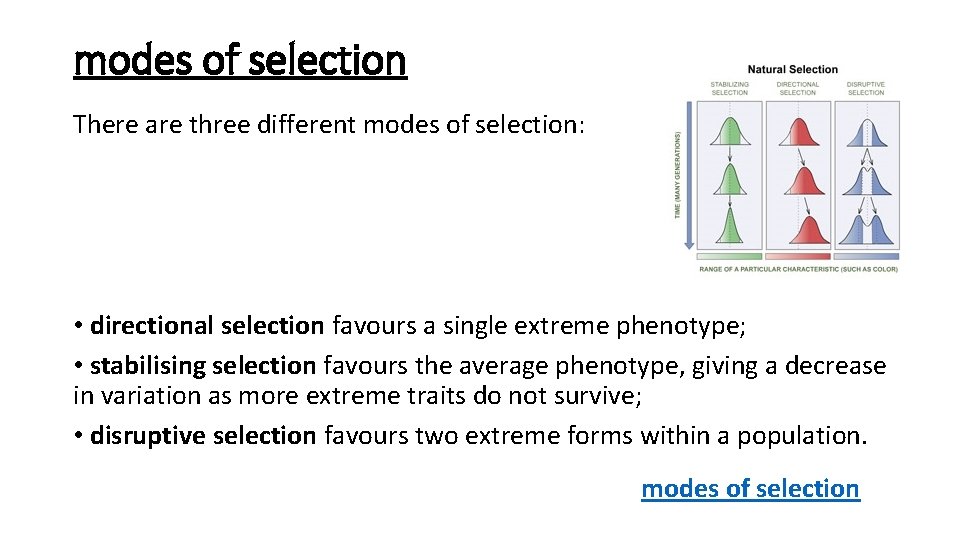 modes of selection There are three different modes of selection: • directional selection favours