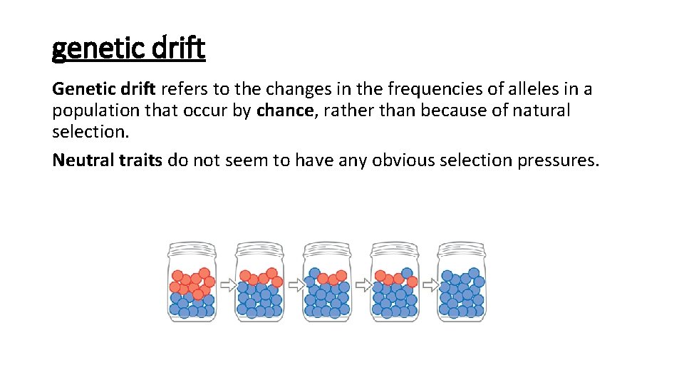 genetic drift Genetic drift refers to the changes in the frequencies of alleles in