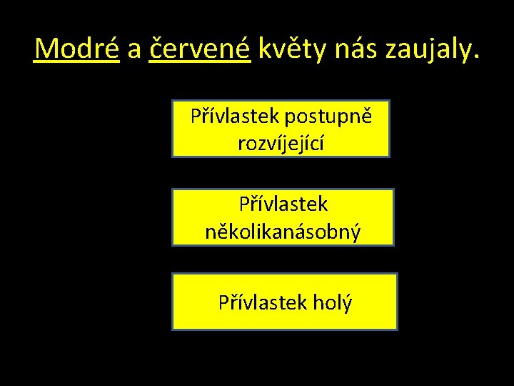 Modré a červené květy nás zaujaly. Přívlastek postupně rozvíjející Přívlastek několikanásobný Přívlastek holý 