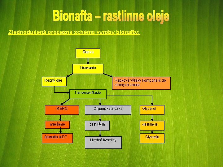 Zjednodušená procesná schéma výroby bionafty: Repka Lisovanie Repný olej Repkové výlisky komponent do kŕmnych
