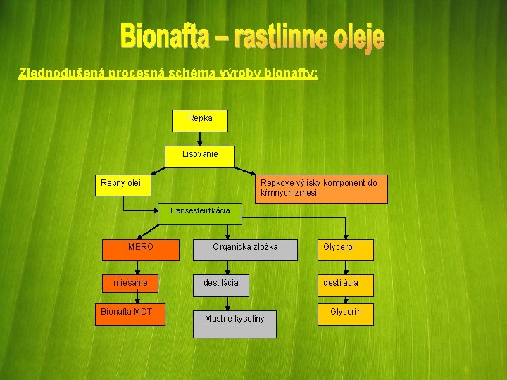 Zjednodušená procesná schéma výroby bionafty: Repka Lisovanie Repný olej Repkové výlisky komponent do kŕmnych Zjednodušená procesná schéma výroby bionafty: Repka Lisovanie Repný olej Repkové výlisky komponent do kŕmnych
