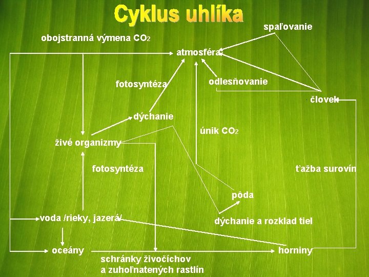  spaľovanie obojstranná výmena CO 2 atmosféra odlesňovanie fotosyntéza človek dýchanie únik CO 2