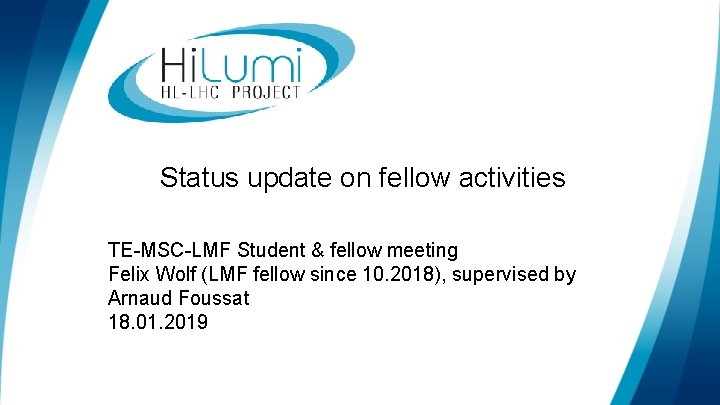 Status update on fellow activities TE-MSC-LMF Student & fellow meeting Felix Wolf (LMF fellow