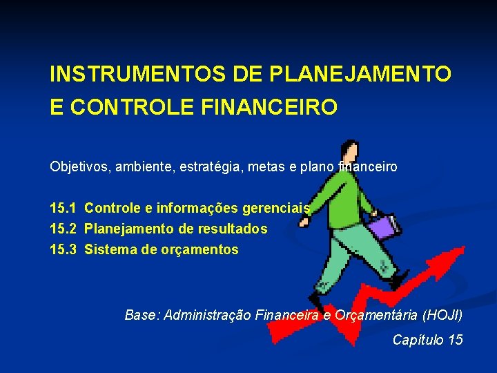 INSTRUMENTOS DE PLANEJAMENTO E CONTROLE FINANCEIRO Objetivos, ambiente, estratégia, metas e plano financeiro 15.