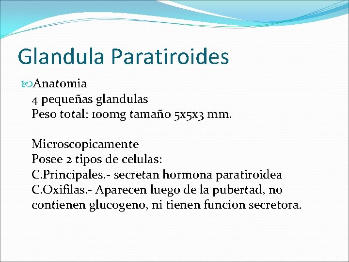 Glandula Paratiroides Anatomia 4 pequeñas glandulas Peso total: 100 mg tamaño 5 x 5