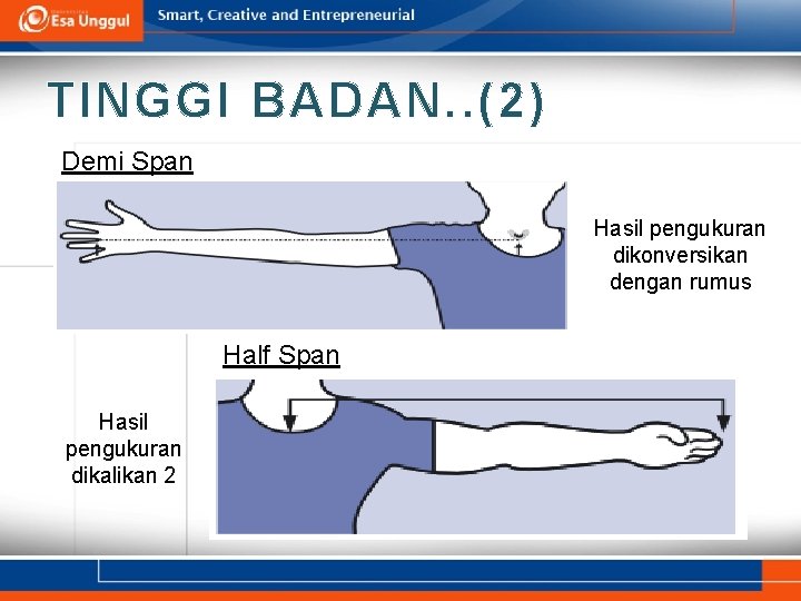 TINGGI BADAN. . (2) Demi Span Hasil pengukuran dikonversikan dengan rumus Half Span Hasil