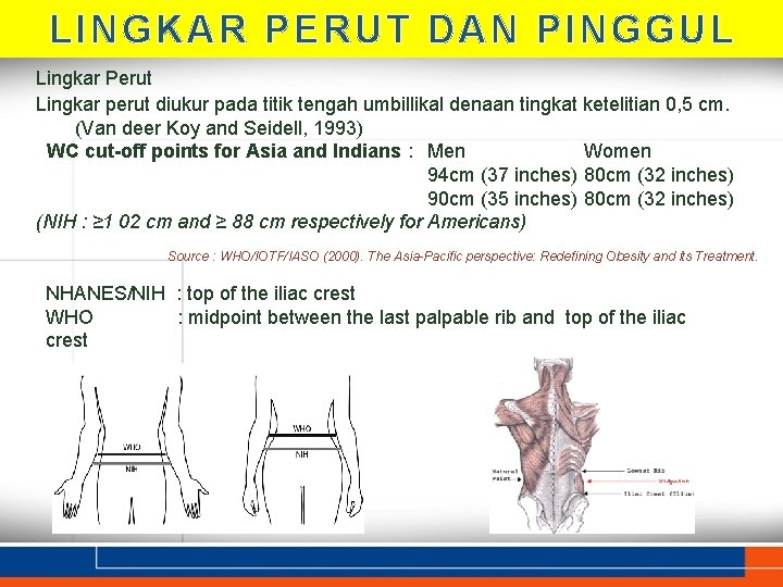 LINGKAR PERUT DAN PINGGUL Lingkar Perut Lingkar perut diukur pada titik tengah umbillikal denaan