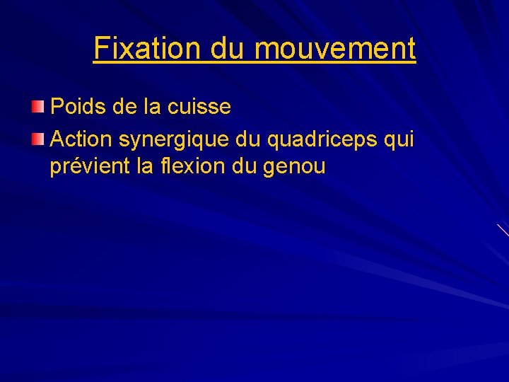 Fixation du mouvement Poids de la cuisse Action synergique du quadriceps qui prévient la