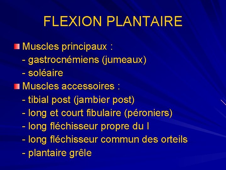 FLEXION PLANTAIRE Muscles principaux : - gastrocnémiens (jumeaux) - soléaire Muscles accessoires : -