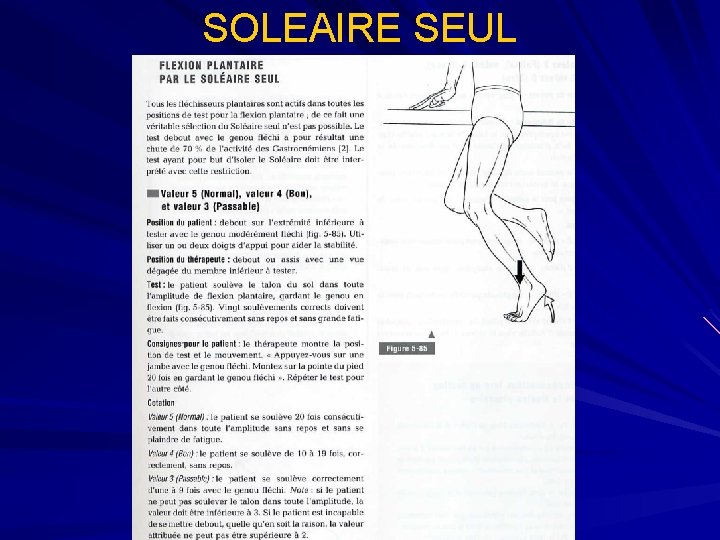 SOLEAIRE SEUL 