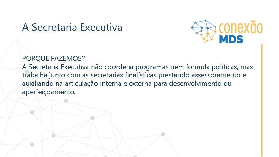 A Secretaria Executiva PORQUE FAZEMOS? A Secretaria Executiva não coordena programas nem formula políticas,