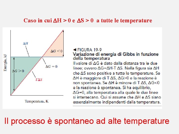 Caso in cui H > 0 e S > 0 a tutte le temperature