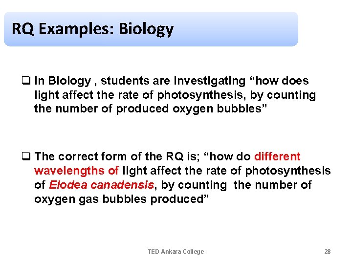 RQ Examples: Biology q In Biology , students are investigating “how does light affect RQ Examples: Biology q In Biology , students are investigating “how does light affect