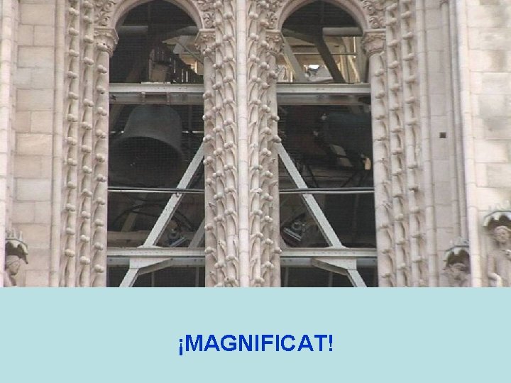 ¡MAGNIFICAT! 