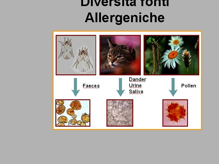 Diversità fonti Allergeniche 