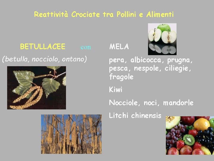 Reattività Crociate tra Pollini e Alimenti BETULLACEE con (betulla, nocciolo, ontano) MELA pera, albicocca,