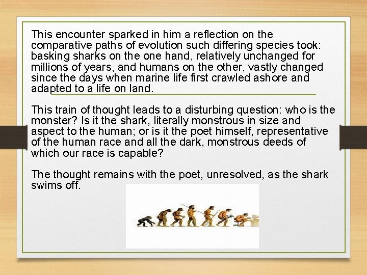 This encounter sparked in him a reflection on the comparative paths of evolution such