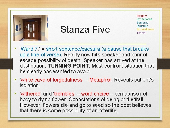 Stanza Five Imagery Synecdoche Sentence Structure Synaesthesia Theme • ‘Ward 7. ’ = short