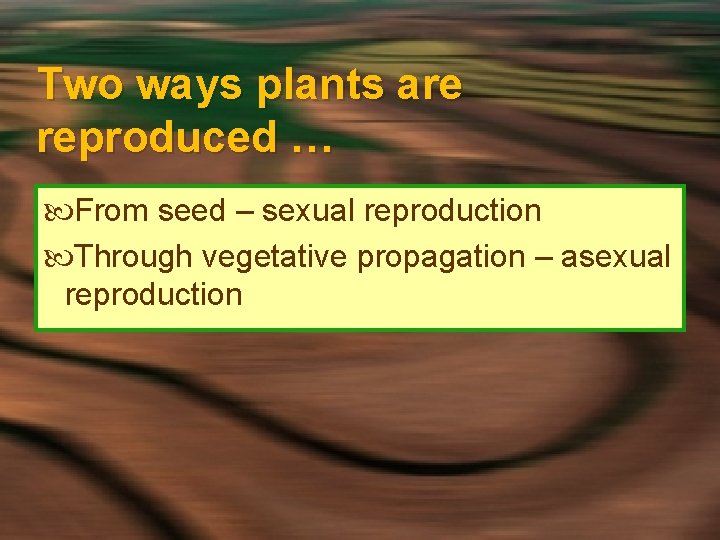 Cs 315 Propagation Of Plants Ag Ed Net