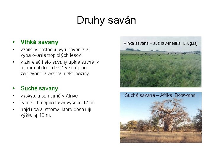 Druhy saván • Vlhké savany • • Vlhká savana – Južná Amerika, Uruguaj vznikli