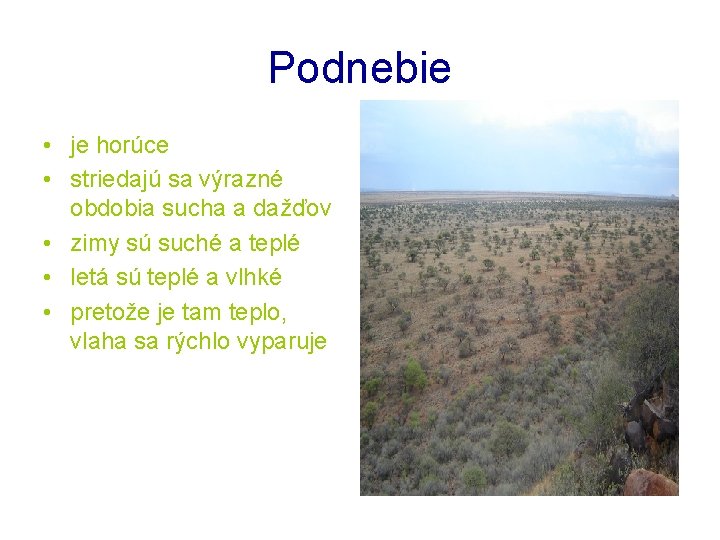 Podnebie • je horúce • striedajú sa výrazné obdobia sucha a dažďov • zimy