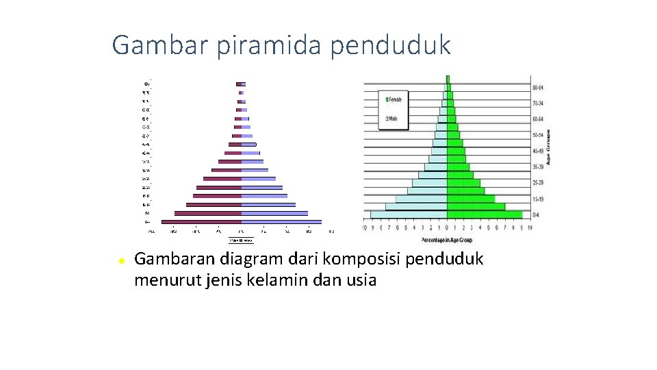 Gambar piramida penduduk Gambaran diagram dari komposisi penduduk menurut jenis kelamin dan usia 