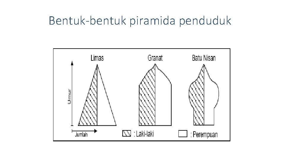 Bentuk-bentuk piramida penduduk 