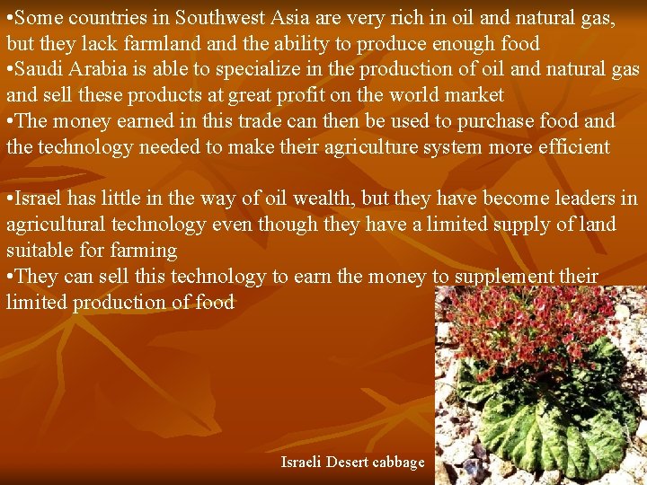  • Some countries in Southwest Asia are very rich in oil and natural