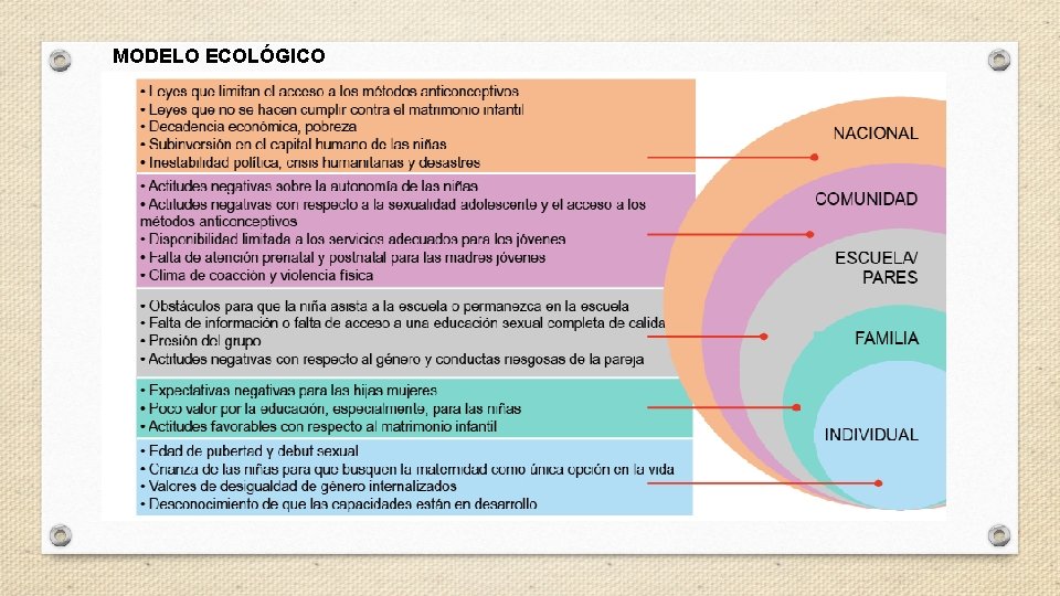 MODELO ECOLÓGICO 