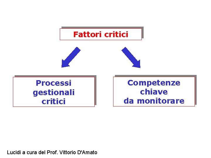 Fattori critici Processi gestionali critici Lucidi a cura del Prof. Vittorio D'Amato Competenze chiave