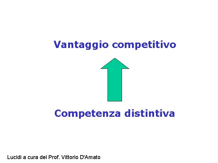 Vantaggio competitivo Competenza distintiva Lucidi a cura del Prof. Vittorio D'Amato 