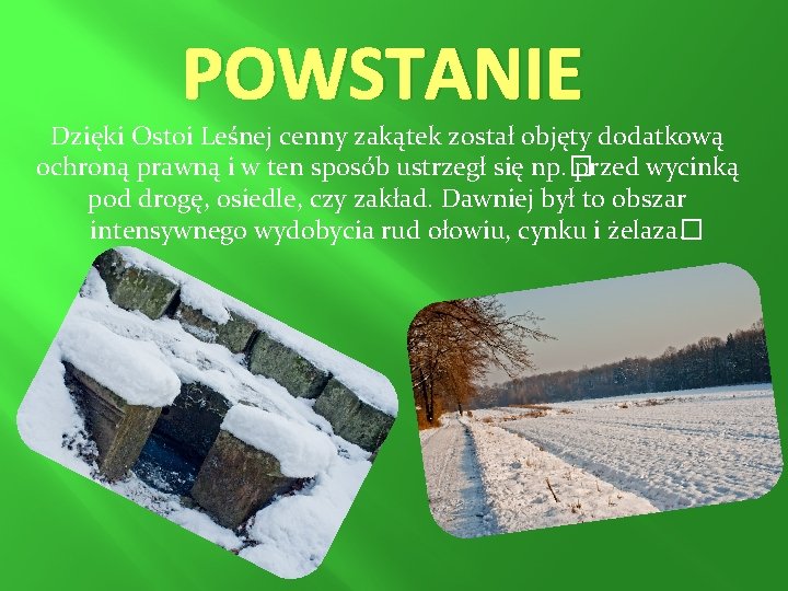 POWSTANIE Dzięki Ostoi Leśnej cenny zakątek został objęty dodatkową ochroną prawną i w ten