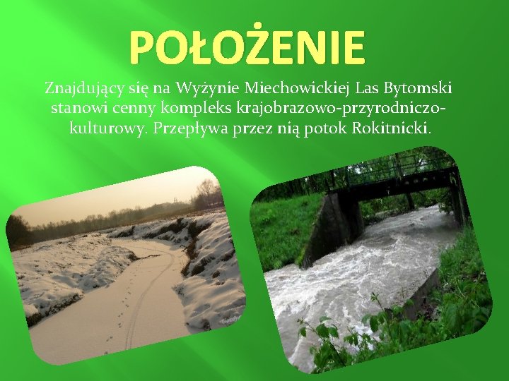 POŁOŻENIE Znajdujący się na Wyżynie Miechowickiej Las Bytomski stanowi cenny kompleks krajobrazowo-przyrodniczokulturowy. Przepływa przez