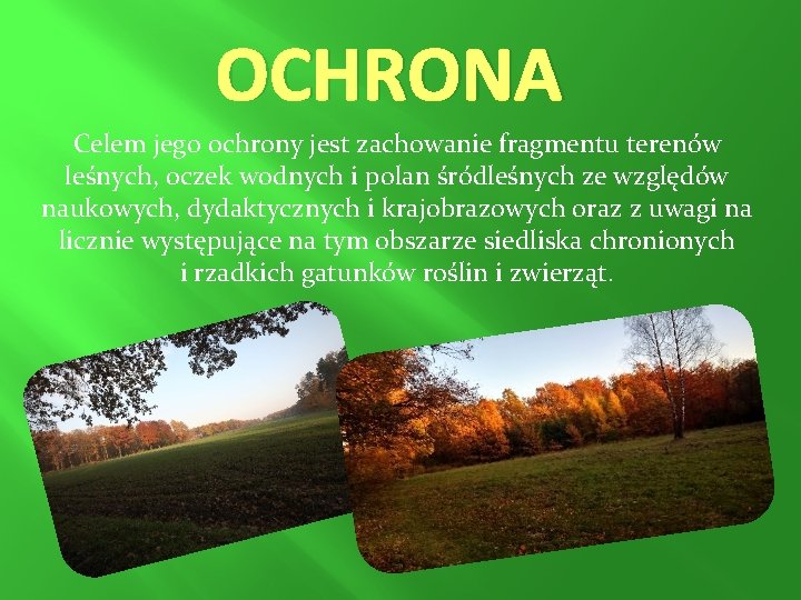 OCHRONA Celem jego ochrony jest zachowanie fragmentu terenów leśnych, oczek wodnych i polan śródleśnych