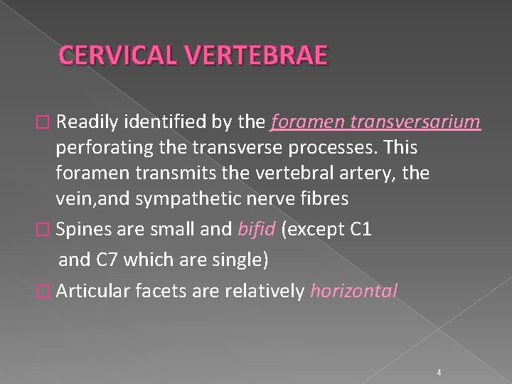 CERVICAL VERTEBRAE � Readily identified by the foramen transversarium perforating the transverse processes. This