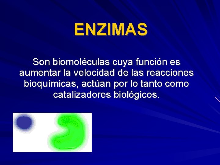 ENZIMAS Son biomoléculas cuya función es aumentar la velocidad de las reacciones bioquímicas, actúan
