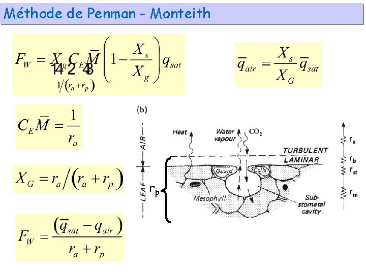 Méthode de Penman - Monteith rp 