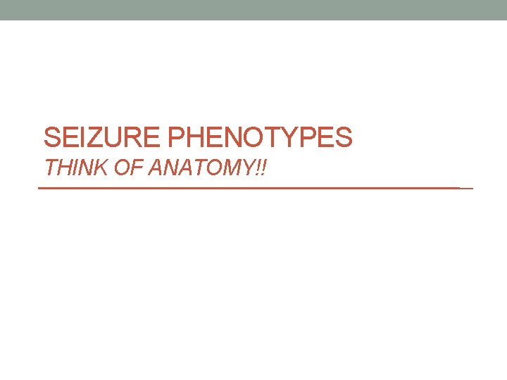 SEIZURE PHENOTYPES THINK OF ANATOMY!! 