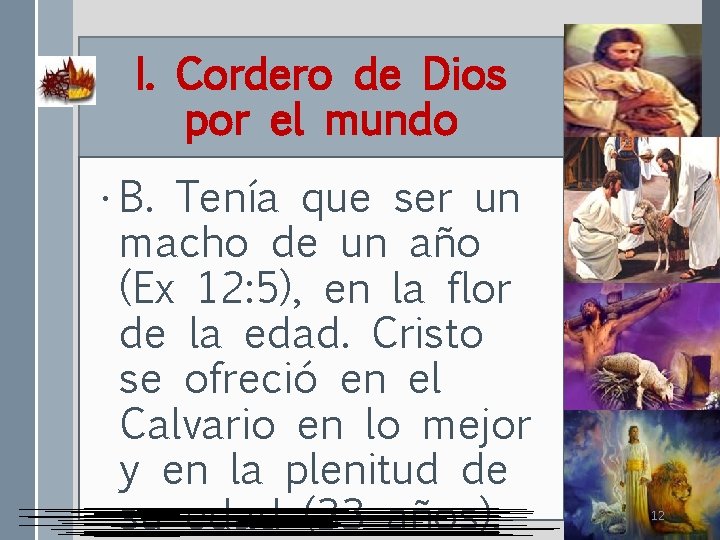 I. Cordero de Dios por el mundo • B. Tenía que ser un macho