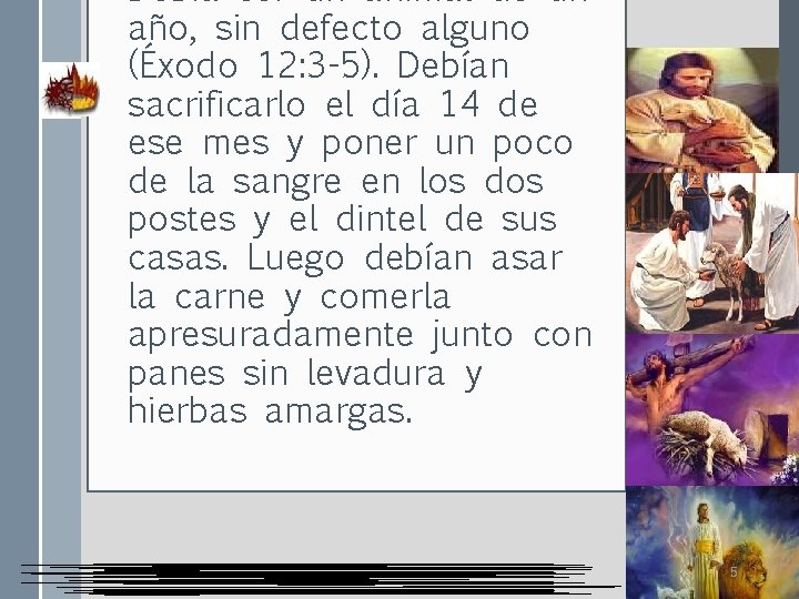  • Debía ser un animal de un año, sin defecto alguno (Éxodo 12: