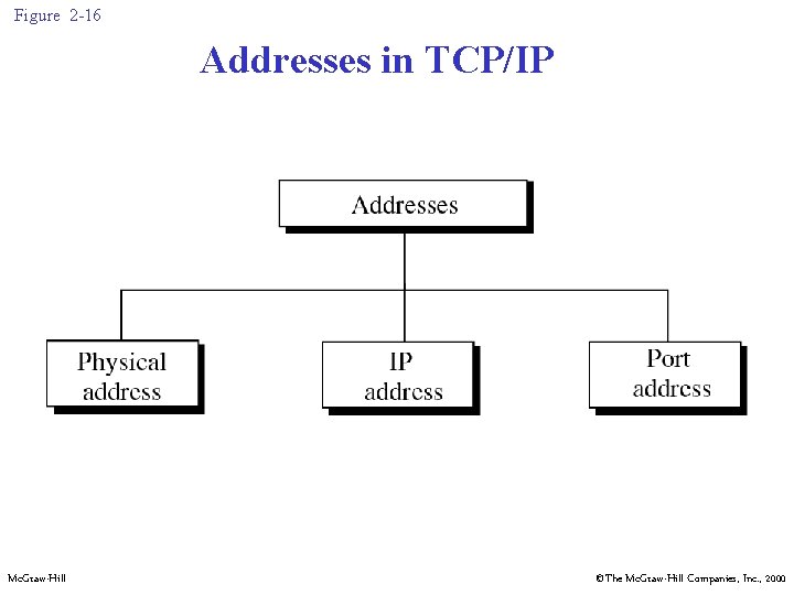 Figure 2 -16 Addresses in TCP/IP Mc. Graw-Hill ©The Mc. Graw-Hill Companies, Inc. ,