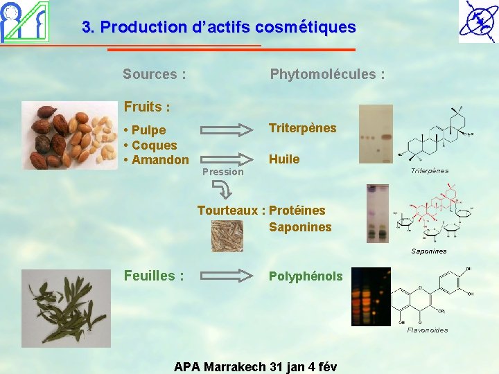 3. Production d’actifs cosmétiques Sources : Phytomolécules : Fruits : • Pulpe • Coques