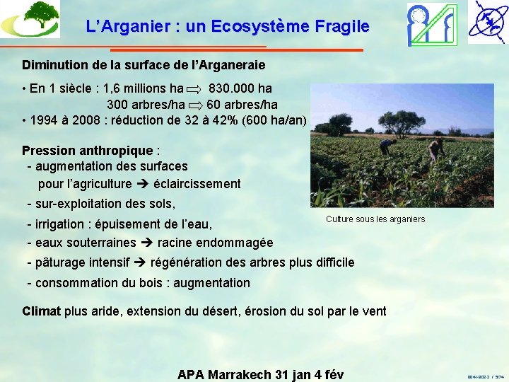 L’Arganier : un Ecosystème Fragile Diminution de la surface de l’Arganeraie • En