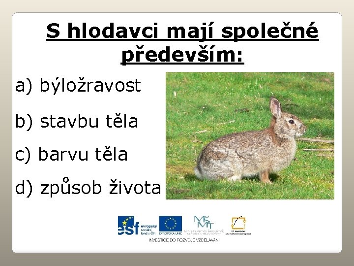 S hlodavci mají společné především: a) býložravost b) stavbu těla c) barvu těla d)