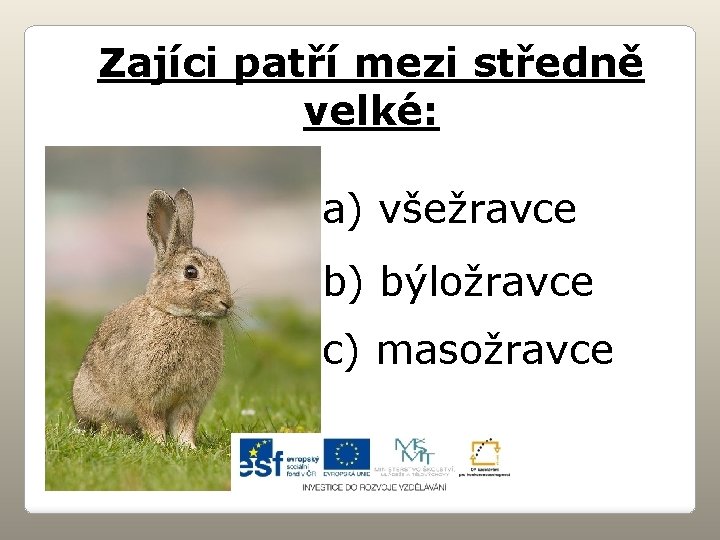 Zajíci patří mezi středně velké: a) všežravce b) býložravce c) masožravce 