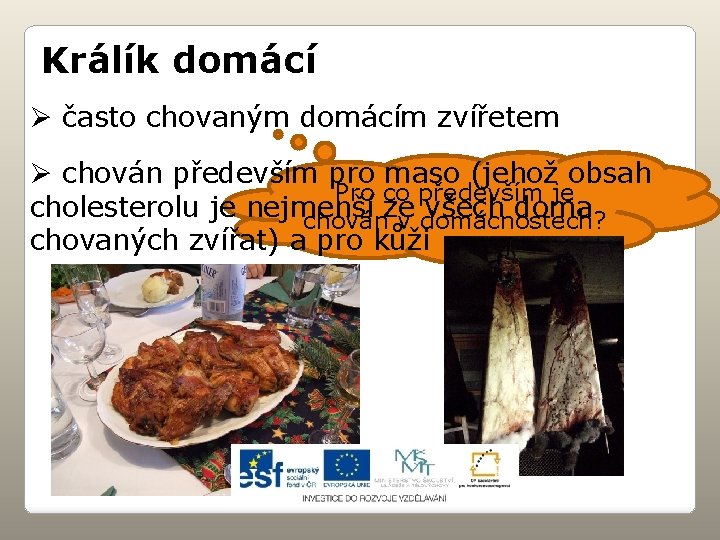 Králík domácí Ø často chovaným domácím zvířetem Ø chován především pro maso (jehož obsah